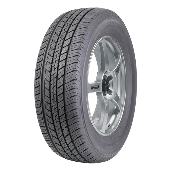 Dunlop ST30 225/65 R17